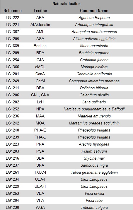 List-of-naturals-lectins_LEctPROFILE-gel.jpg