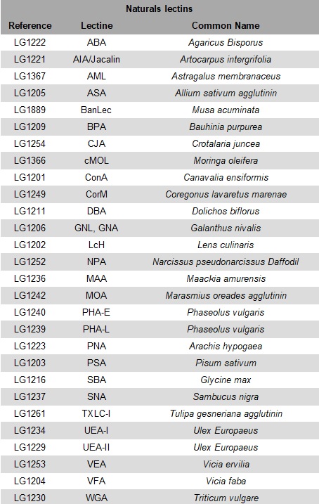 List-of-naturals-lectins_LEctPROFILE-gel.jpg