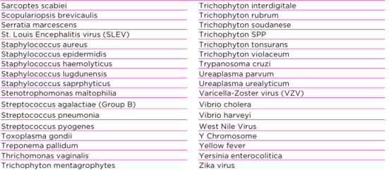 Human Pathogen #3.PNG