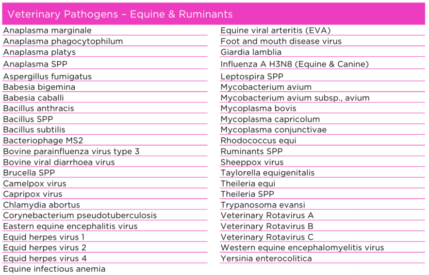 Veterinary Pathogens - Equine & Ruminants.PNG