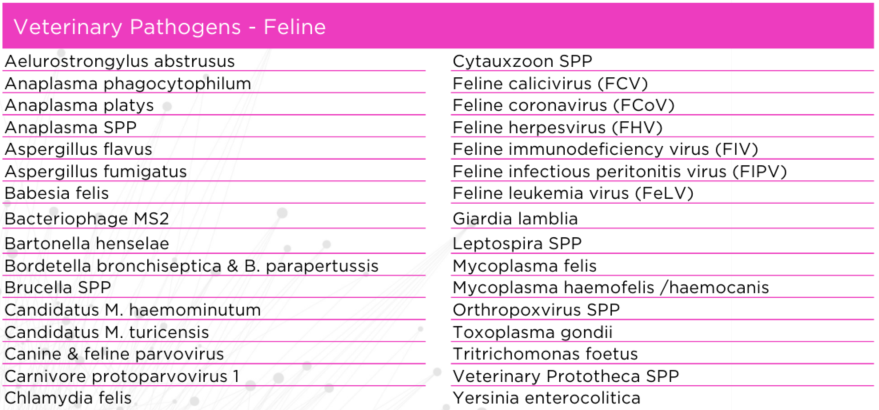 Veterinary Pathogens - Feline.PNG
