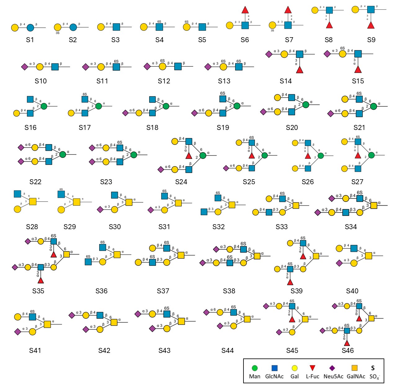 Sulfated-Glycan-Array-Structures.jpg