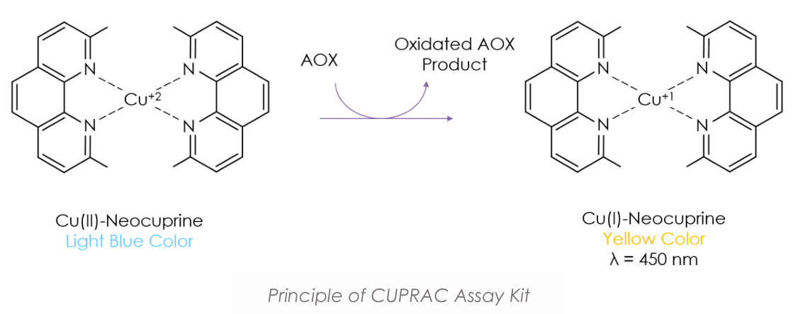CUPRAC Principle.png