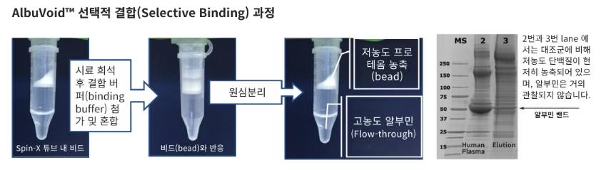 albuvoid selective binding.png
