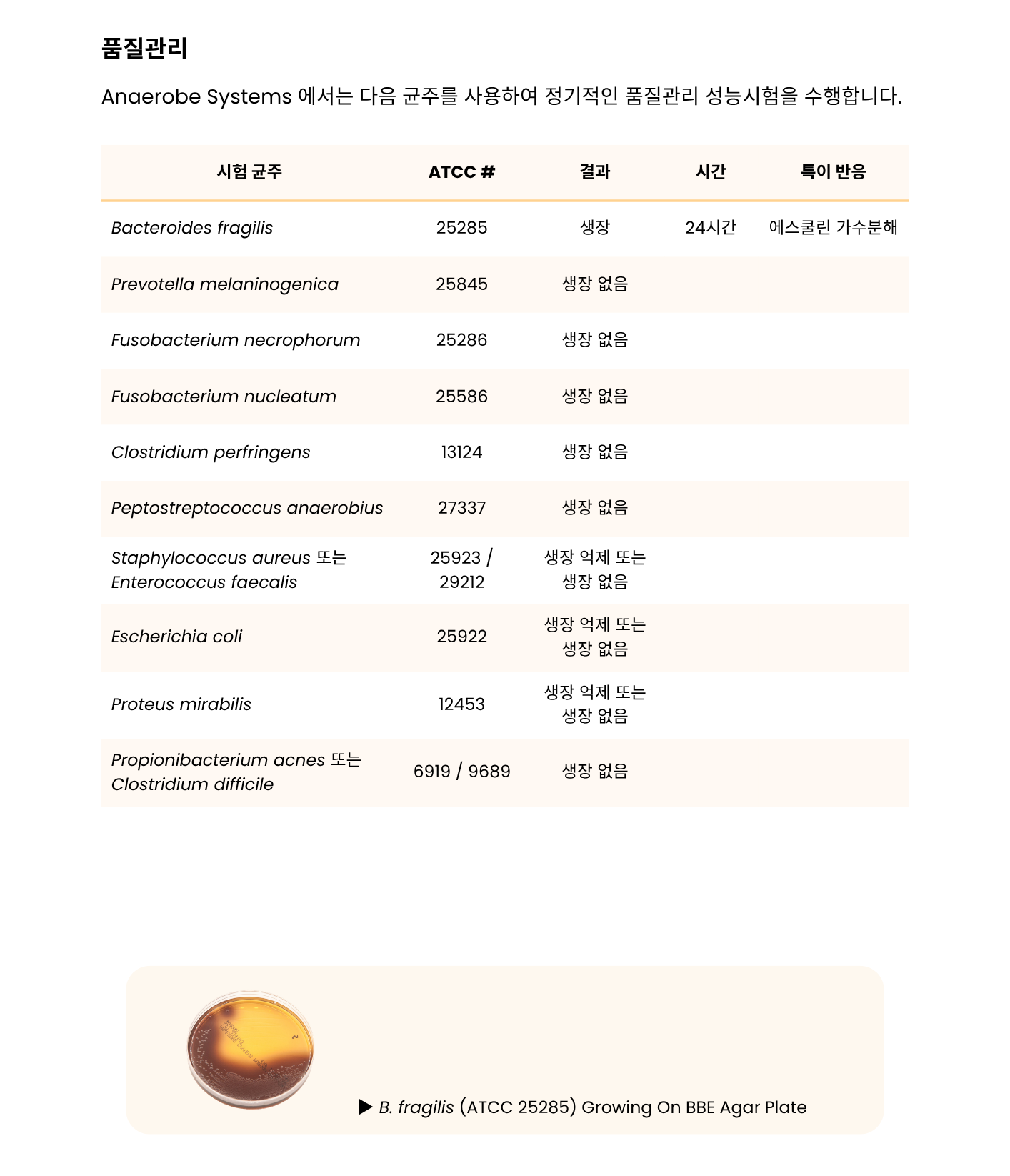 400 Bacteroides Bile Esculin Agar – BBE3.png