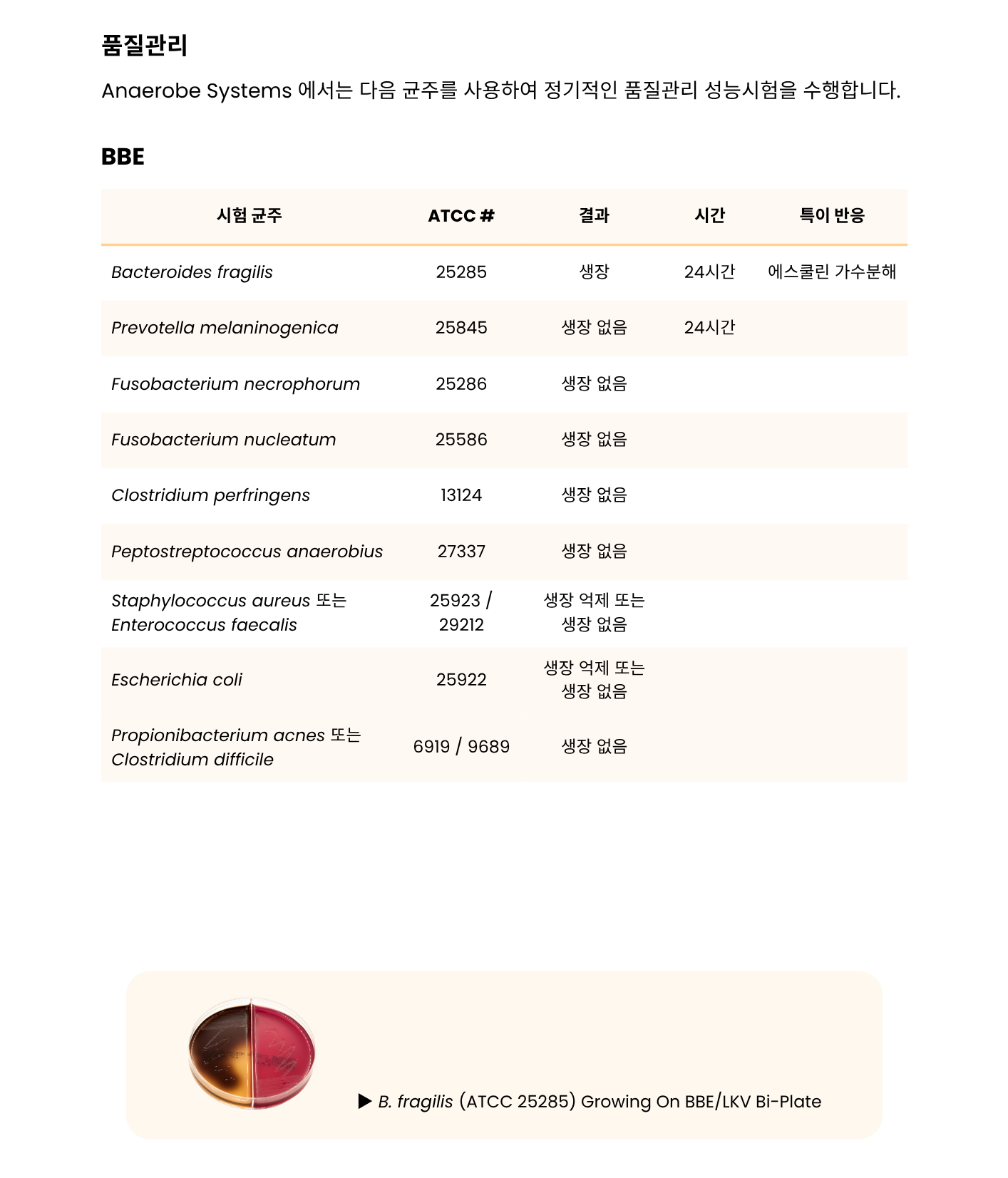 399 BRU mono _ BBE-LKV Biplate4.png