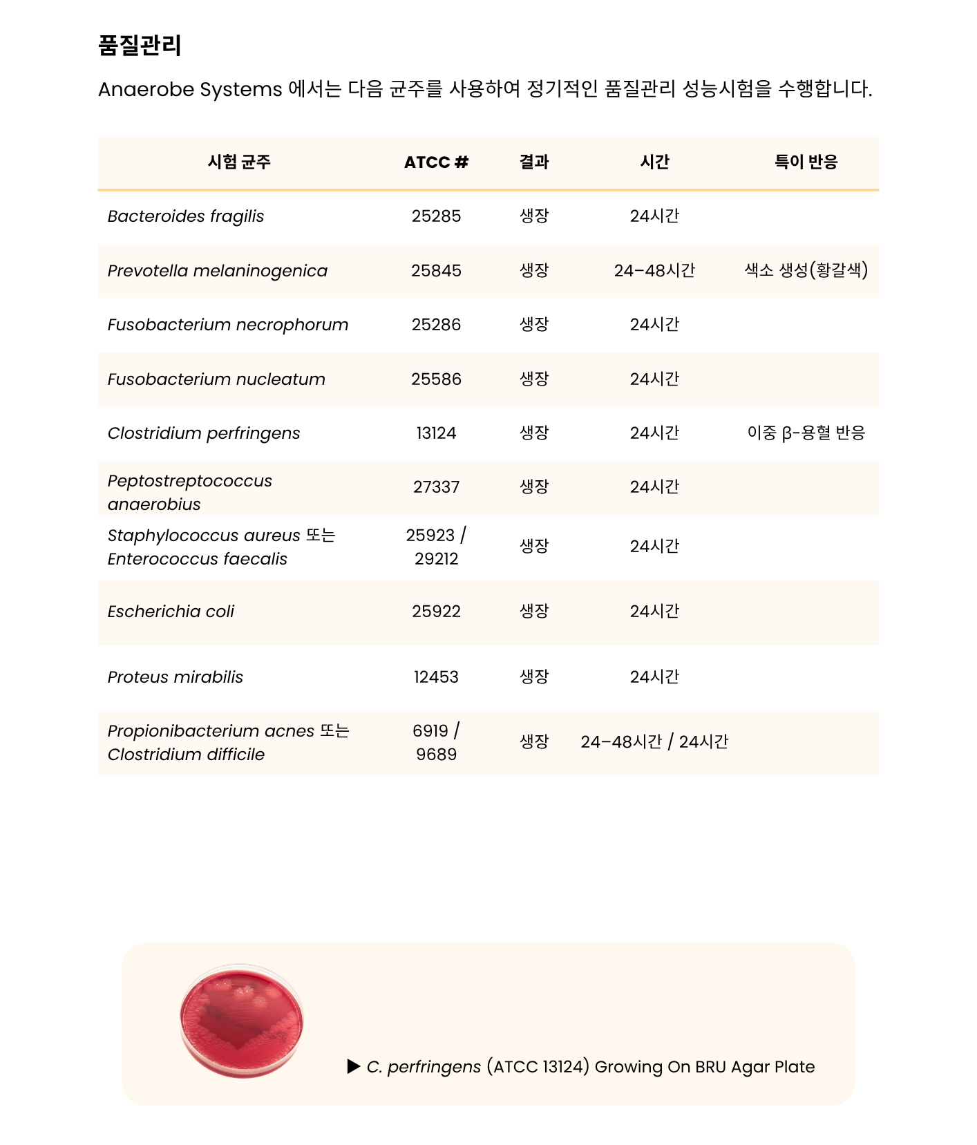 394 Brucella Blood Agar – BRU3.png