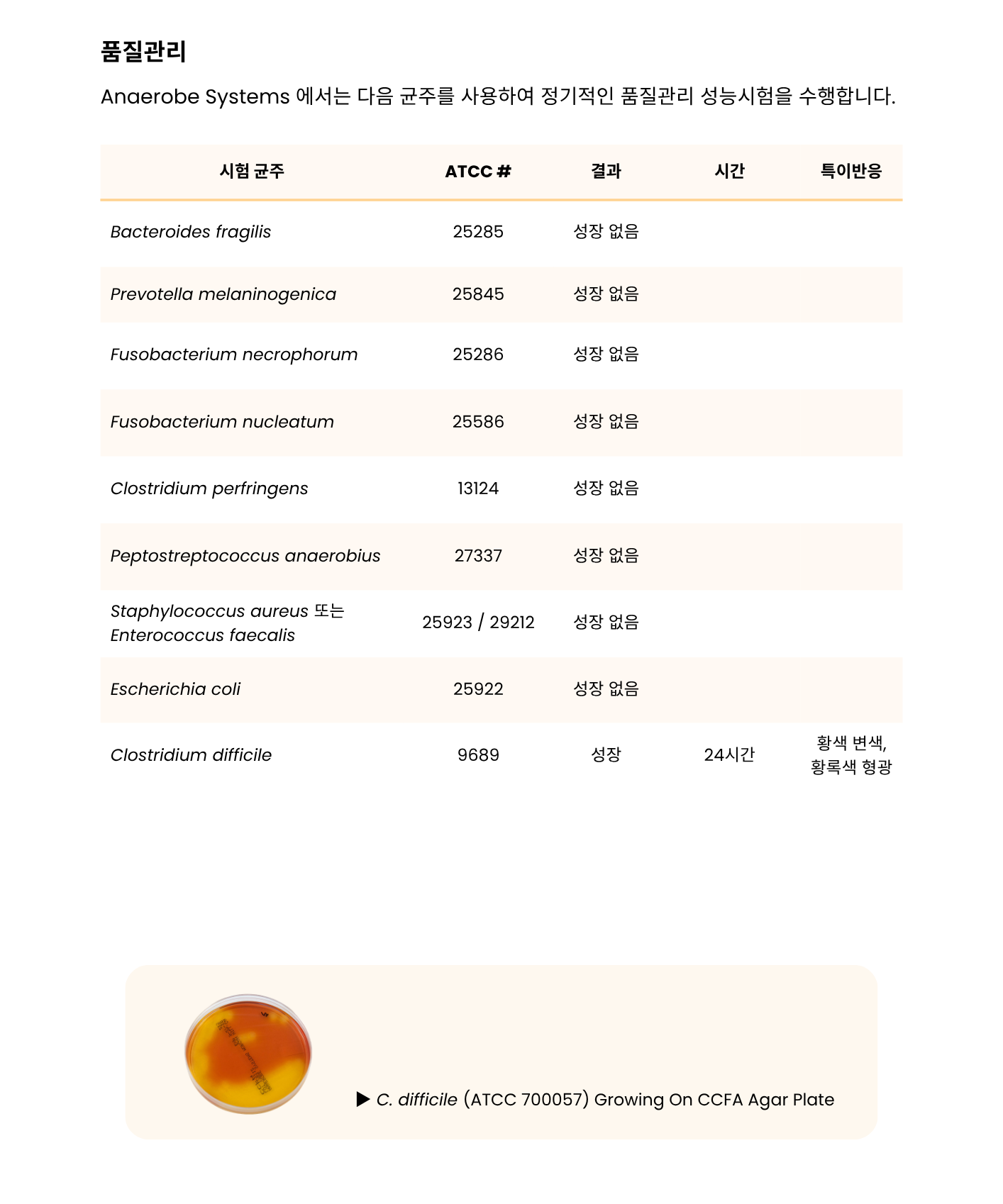 387 Cycloserine-Cefoxitin Fructose Agar – CCFA3.png