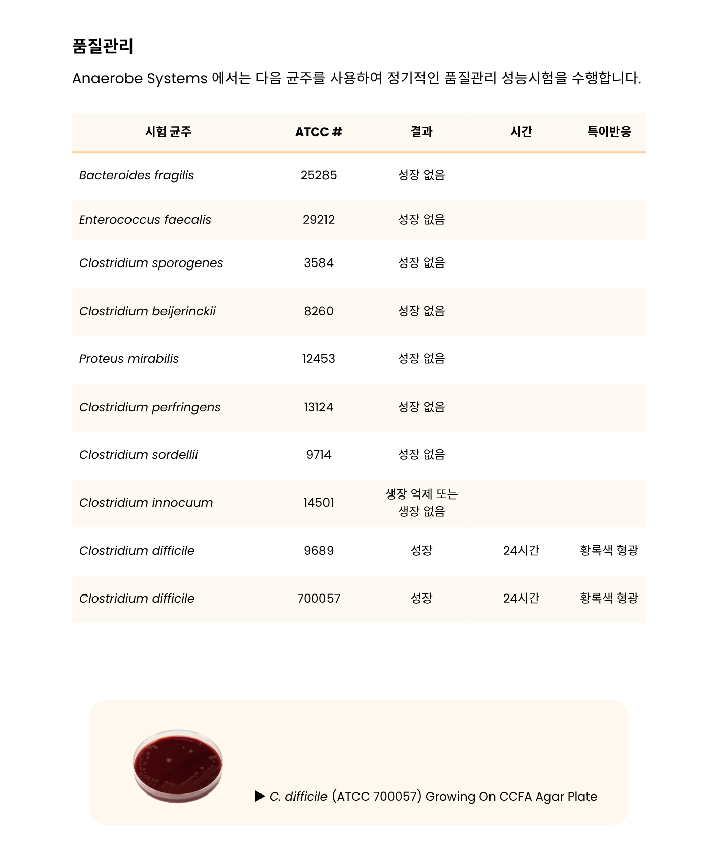 386 Cycloserine-Cefoxitin Fructose Agar with Horse Blood and Taurocholate – CCFA-HT3.png