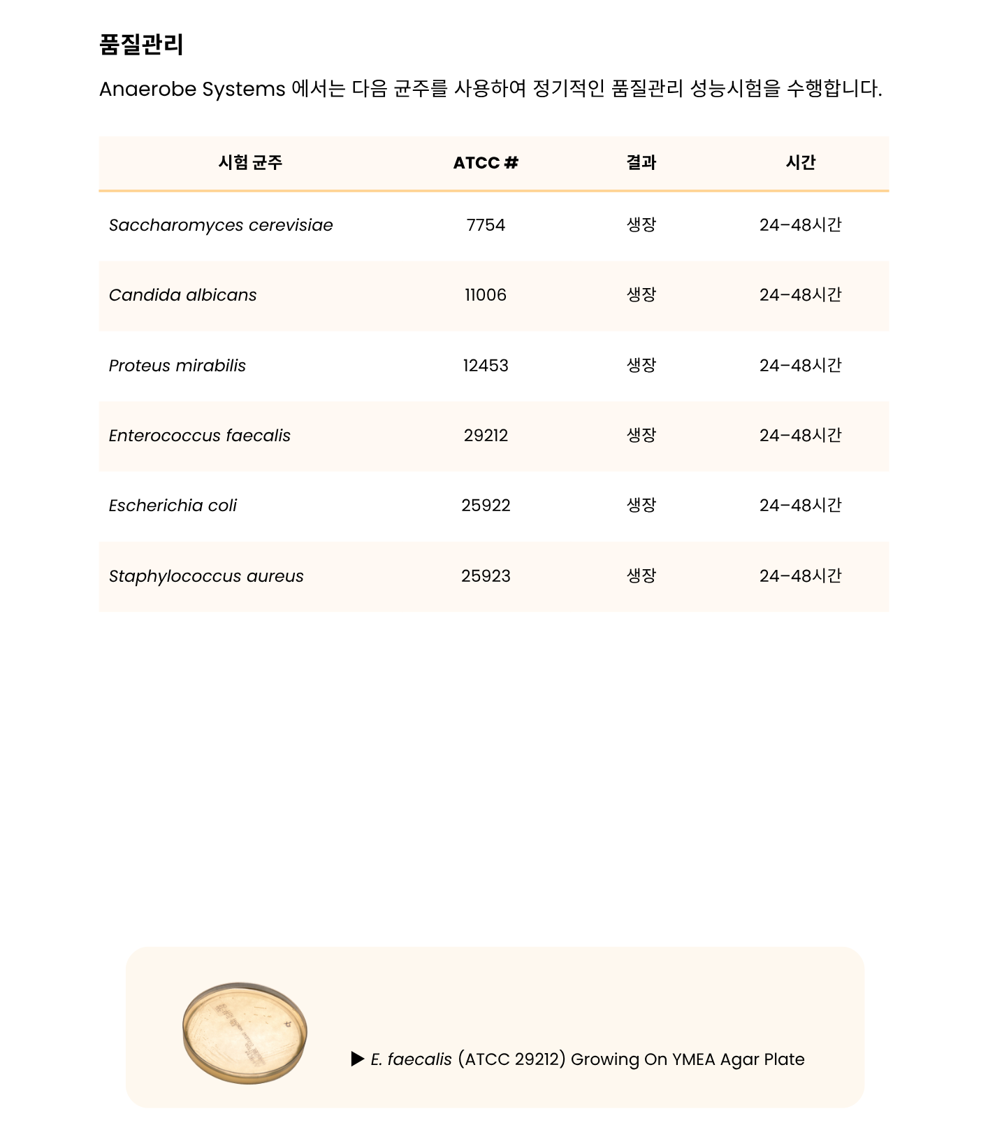 367 Yeast Malt Extract Agar mono plate 25ml fill – YMEA3.png