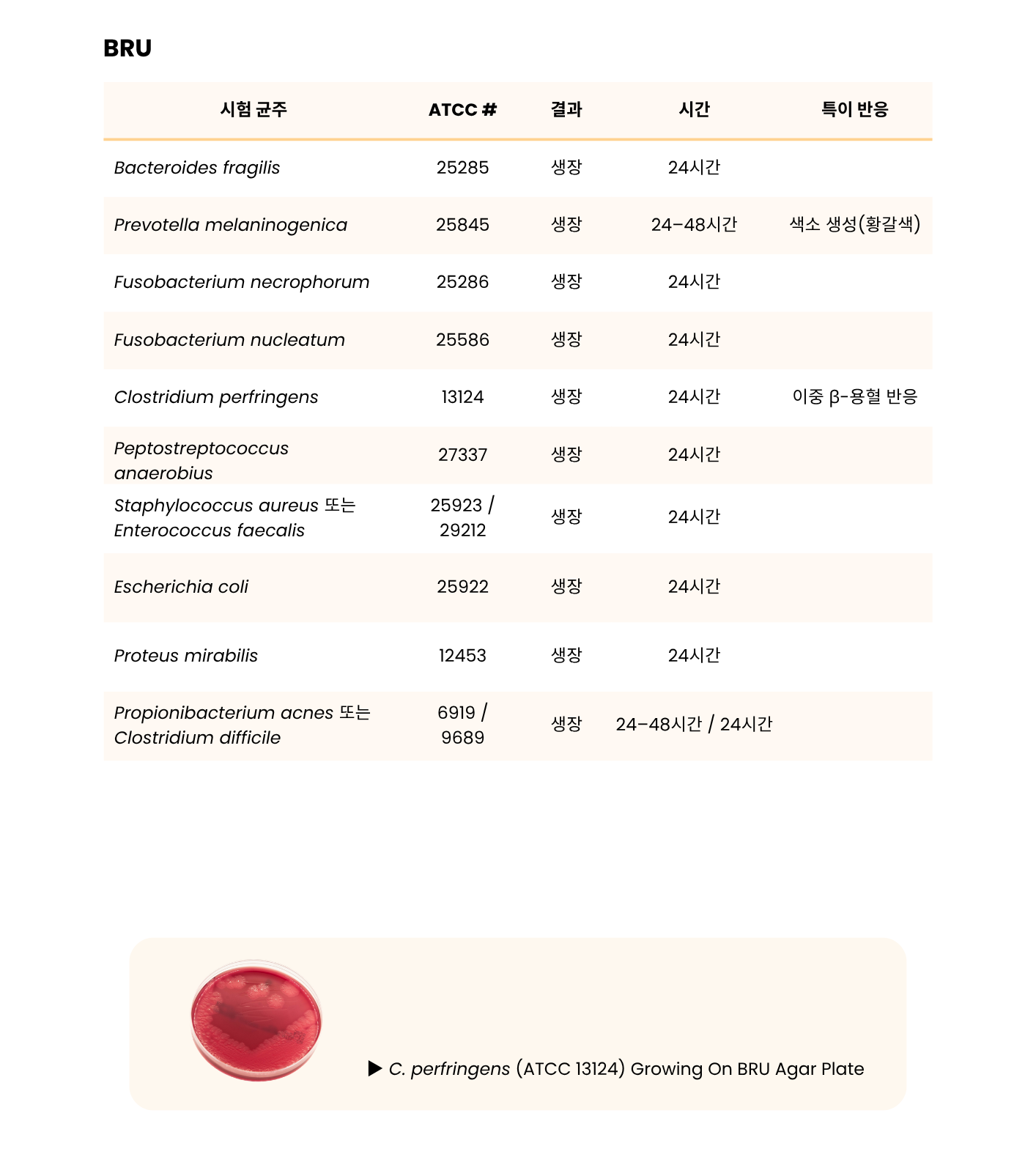 366 BRU mono _ BBE-LKV Biplate Plated Combo Packs6.png